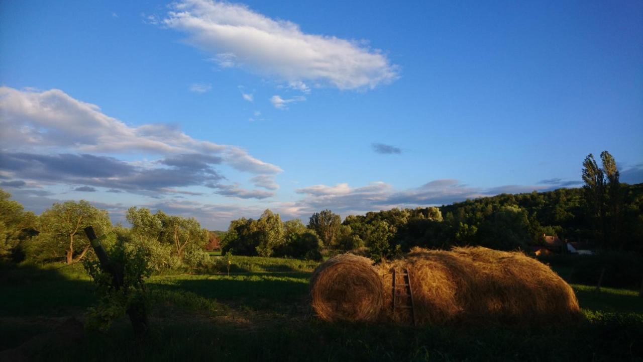 Szellosreti Vendeglak Balvanyos Exterior foto
